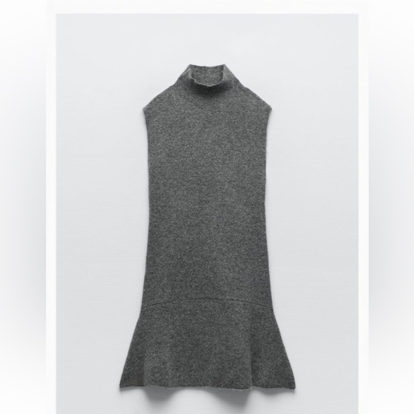 NWT Zara skater dress - Picture 1 of 1